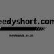 speedyshort.com