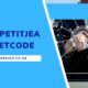 luispetitjean leetcode