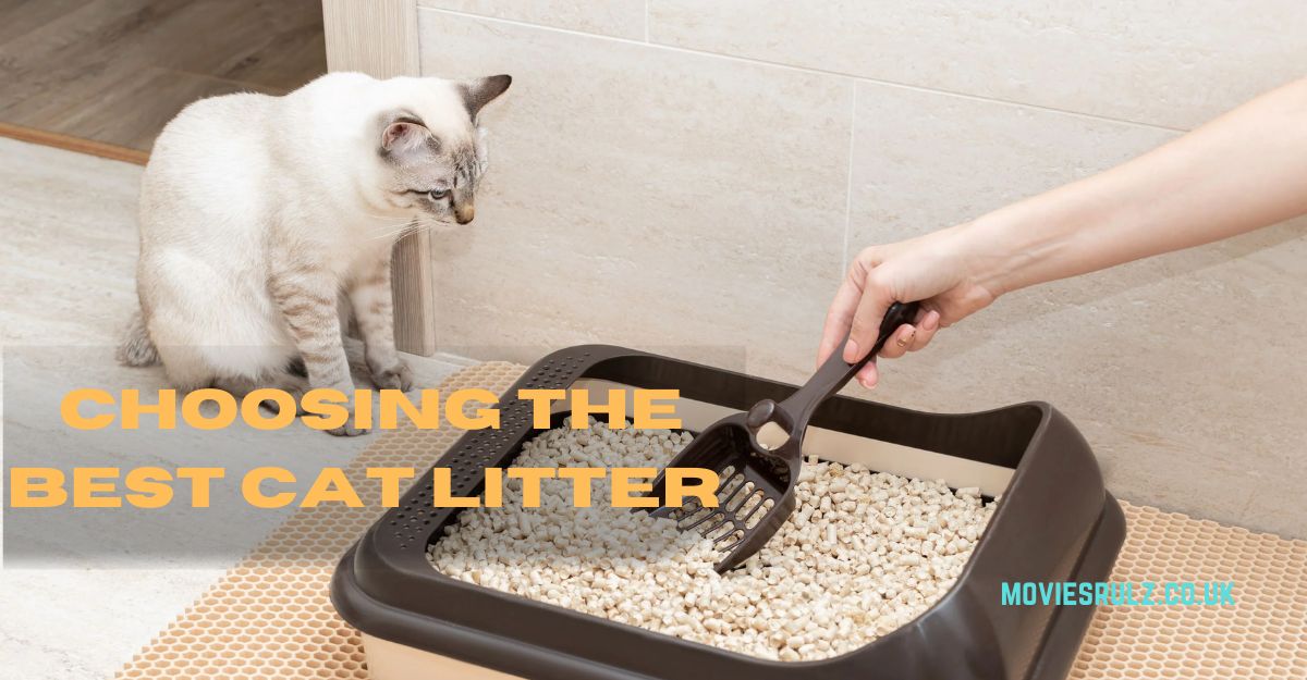 Cat Litter